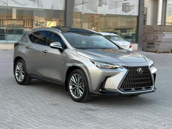Lexus NX-350 / 2025 (Silver)